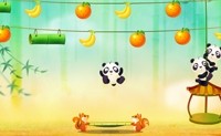 Bondissement de Panda